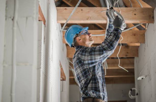 Best Ceiling Fan Installation Electrician  in Preston, MN